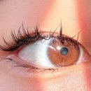 다본안경원 이미지