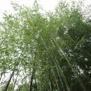 양남힐링펜션 이미지