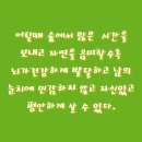 알타리수확,알타리 담그는 방법,총각무 담그는방법,앝타리김치의 효능,열무의효능/교육 좋은성품교육,성경이 말하는 훈육 이미지