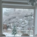 꽃피는 유포리 이미지