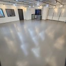 프로펫애견샵