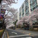 온리유 네일 | [울산/중구] 속눈썹 펌으로 분위기 변신 성공, 온리유 네일 후기 ♡