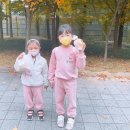 새알곡유치원