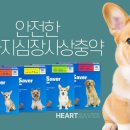 스타시티약국 이미지