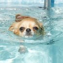 베이지동물병원 이미지