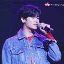 마닐라PC 이미지