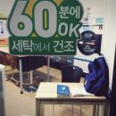 크린토피아코인워시여수동점