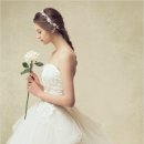 폴라리스 이미지