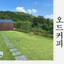 카페죽이야기 고아문성점 | 구미 신상 대형카페 오드커피 내돈내산 다녀온후기