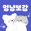 명품견 | 사료계의 에르메스, 카르나4 내돈내산 후기