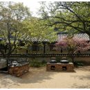 한국민속촌 박물관 이미지