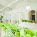 제주소호네 이미지