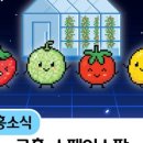 완수농장 네이버블로그