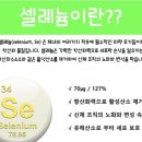 (주)이비에프 네이버블로그