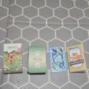 숲의 마음 | 텀블벅 동물힐링숲 펫마음 카드 후기