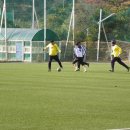 평림구장 이미지