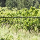 호수한의원 이미지