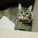 산곡북초등학교 이미지