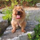 바람불어 좋은날 이미지