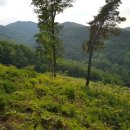 두월농장 이미지