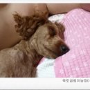 옥토굼벵이농장 네이버블로그