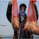 마검포항 이미지