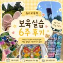 지도 천사어린이집 | 유아교육과 보육실습 6주 후기｜기관선정부터 실습일지·제본·A+ 꿀팁 총정리