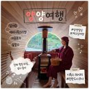 늘푸른세탁 | 강원도 양양 여행 여름휴가 부모님과 국내 힐링여행 달래촌 숲캉스 후기