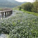 정양늪생태공원 이미지