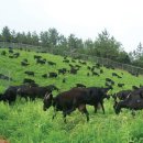 수암영농조합 이미지