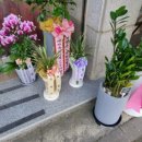 비상유도클럽 이미지