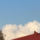 스테이 그로브 이미지