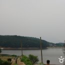 고모 이미지