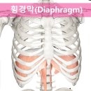 필라테스하우스 네이버블로그