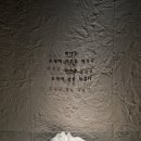 영도놀이마루 | 전시▶️[부산 영도]<조개, 패각에 담긴 한국과 일본의...박물관 아이랑 실내 가기 좋은 곳 전시 관람후기