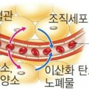쉬즈뷰티