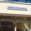 매머드커피 - 성남시 분당구 분당내곡로 117 | 매머드커피