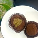 코코동물약국 이미지