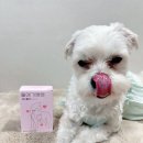 울애기쌩쌩 이너플러스 후기 기관지 협착증 영양제