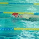 진들농장 이미지