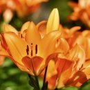 아하당구장 이미지