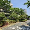 이재리버하임공인중개사사무소 | 여의도 불꽃축제 직관을 하면서 느끼는 시민의식