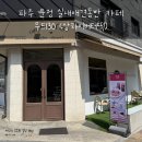 산내동물병원 | 파주 운정 실내 애견동반 카페 : 무드130 (상하이버터떡후기)
