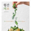 채소스튜디오
