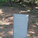 풍산홍씨 대제학 홍양호의 묘 이미지