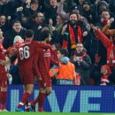 리버풀동물병원 이미지