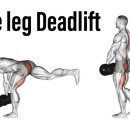 락 바디 짐 이미지