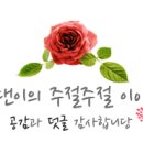 청혜참치 이미지