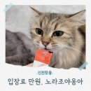 노라조 야옹아 이미지