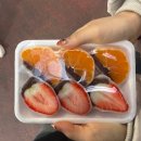 장기떡집 | 2026년 1월 서귀포 동백포레스트 후기 + 짱구분식 + 할머니떡집 귤모찌,딸기모찌